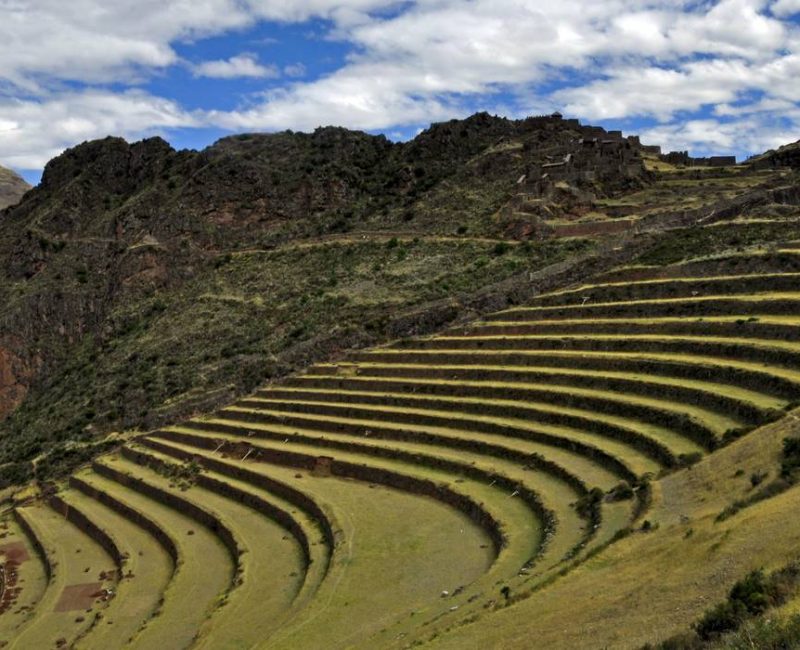 pisaq-andenes-de-acchapata